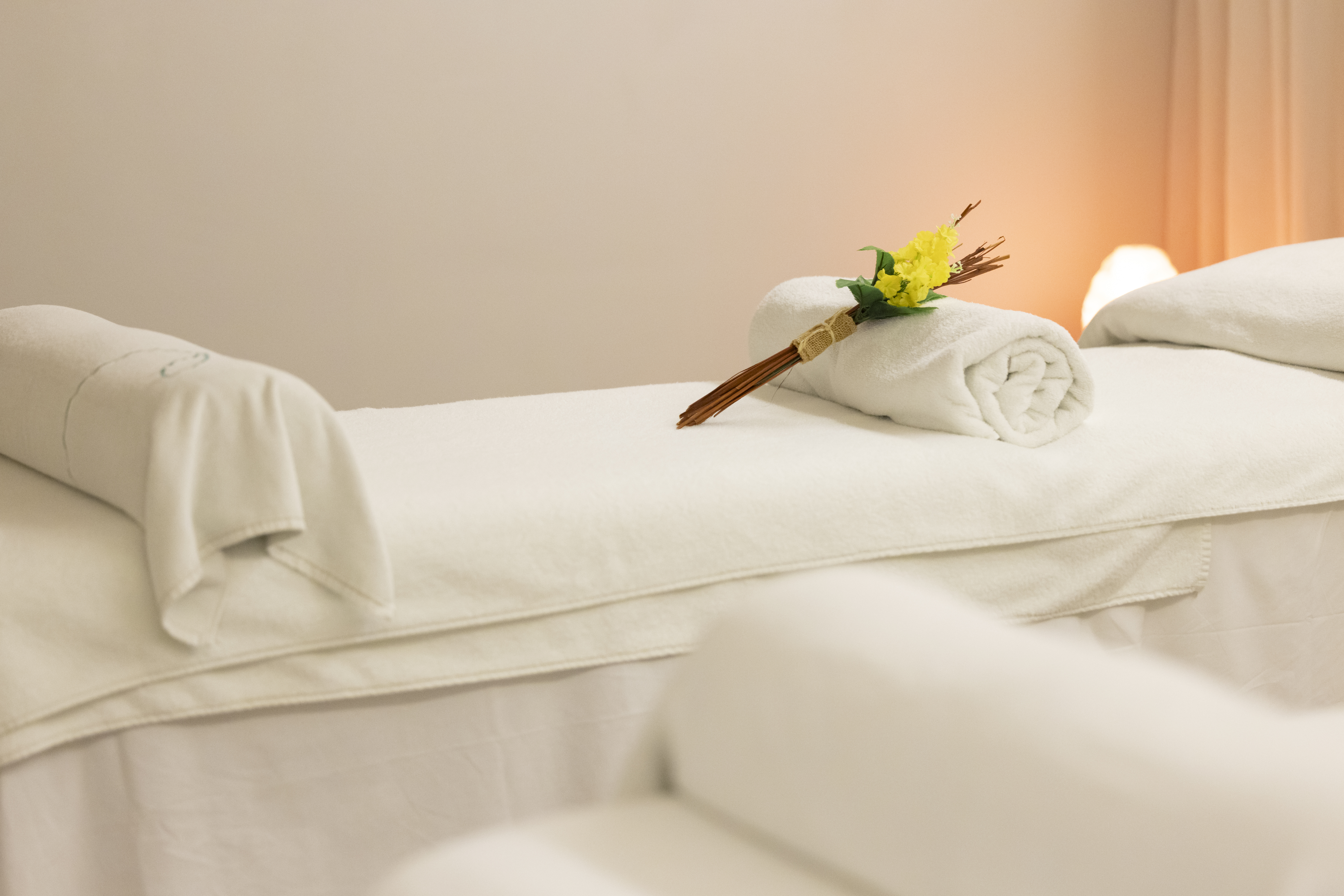  DAYPASS 10:30 a 18:00 + CIRCUITO SPA +16 años